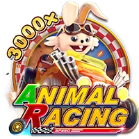 ANIMAL RACING - RICHES138