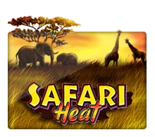Safari Heat - RICHES138