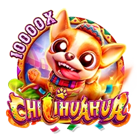 CHILIHUAHUA - RICHES138