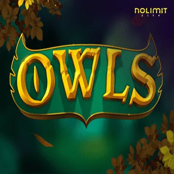 Owls - RICHES138