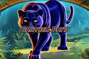 Panther Pays - RICHES138